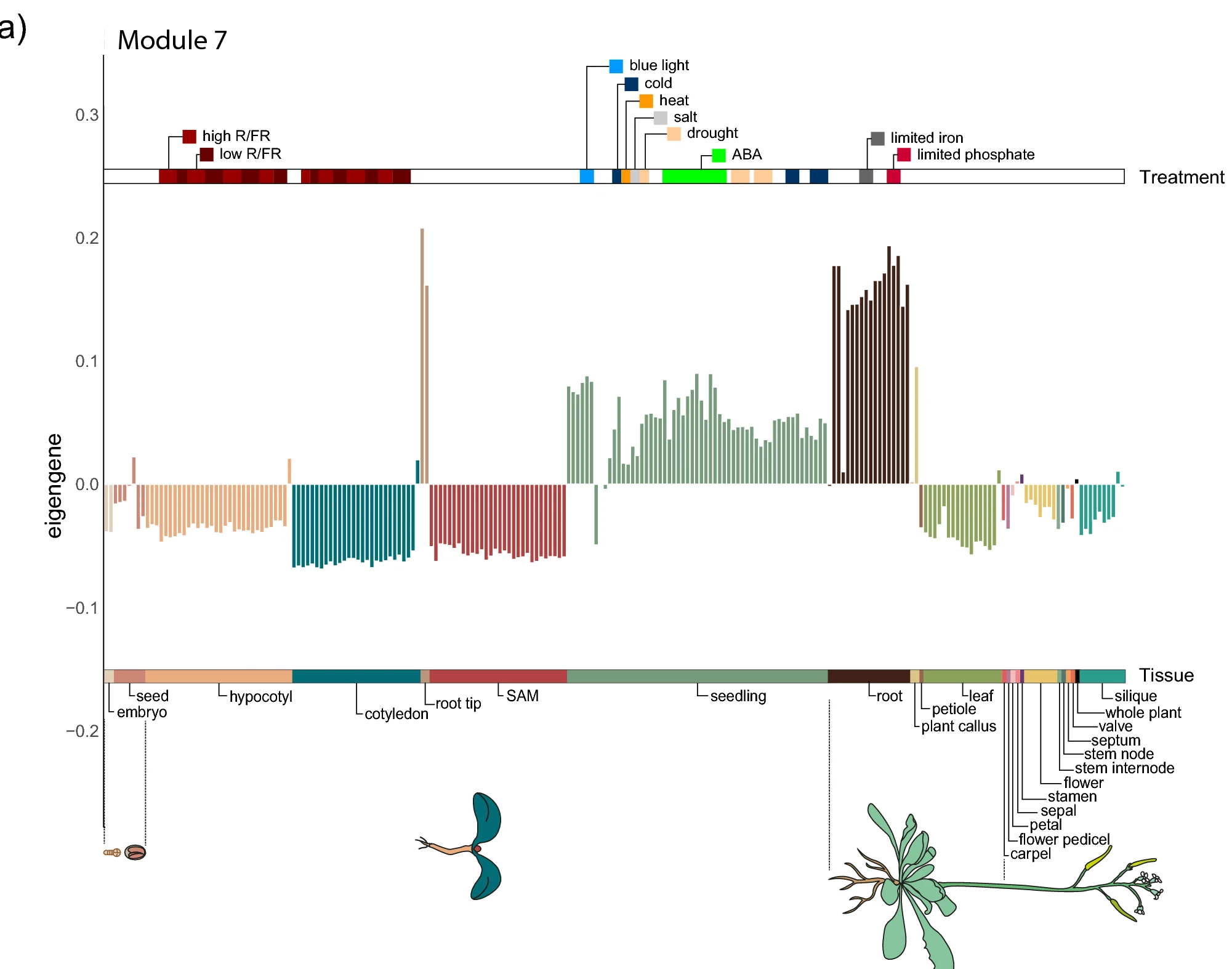 Transcriptome-guided annotation and functional classification of long non-coding RNAs in Arabidopsis thaliana