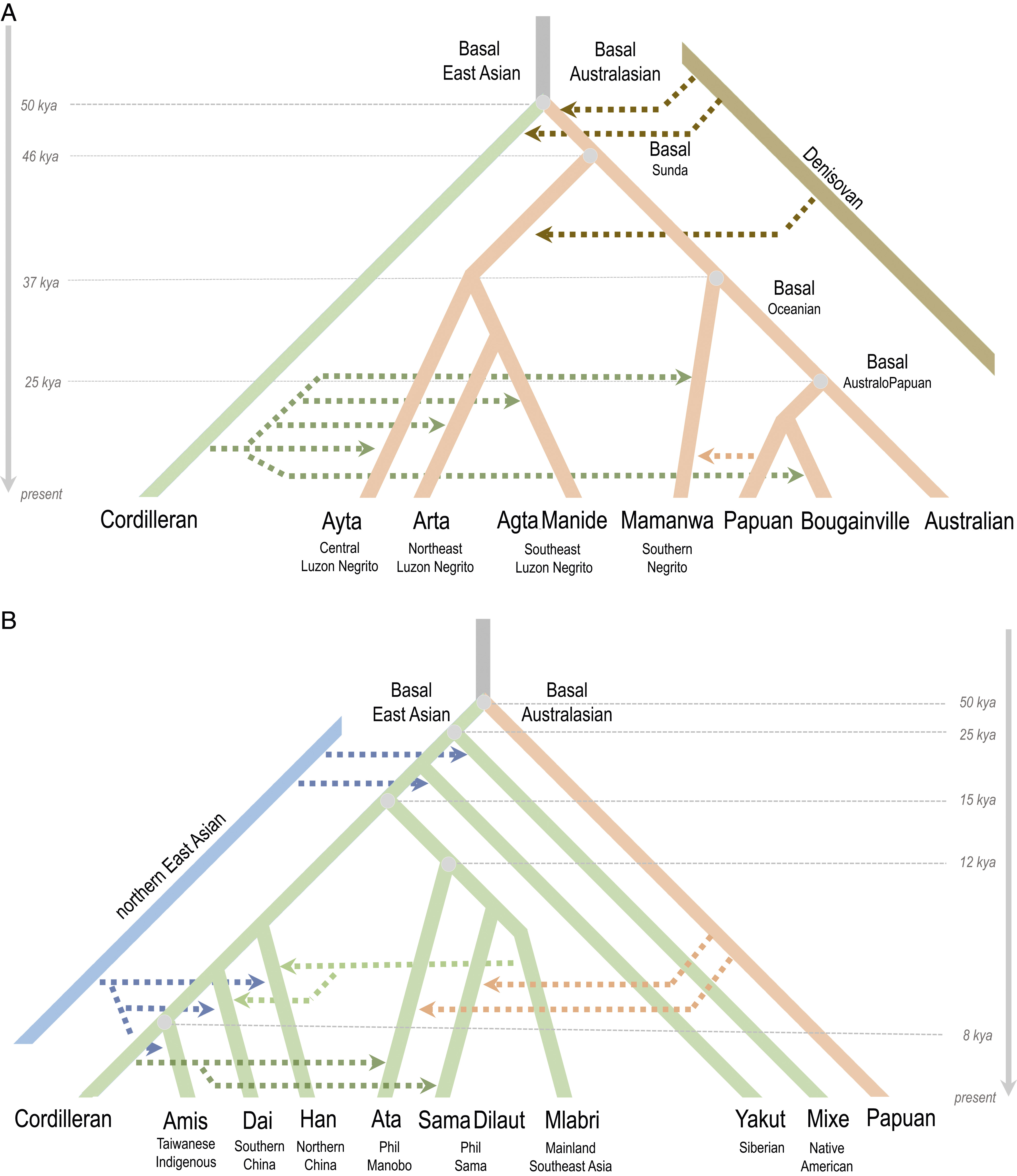 Multiple migrations to the Philippines during the last 50,000 years