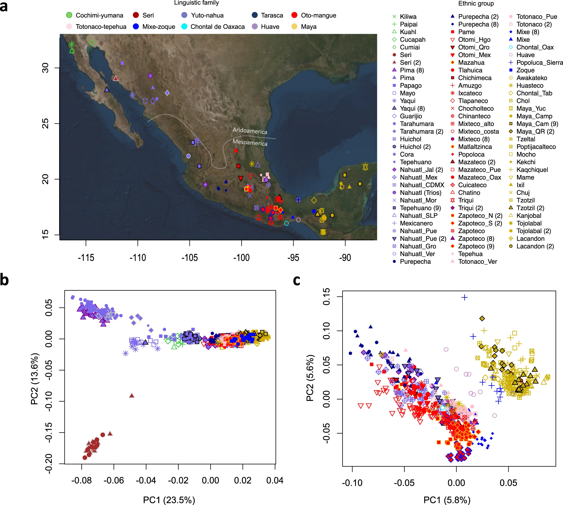 The genomic landscape of Mexican Indigenous populations brings insights into the peopling of the Americas