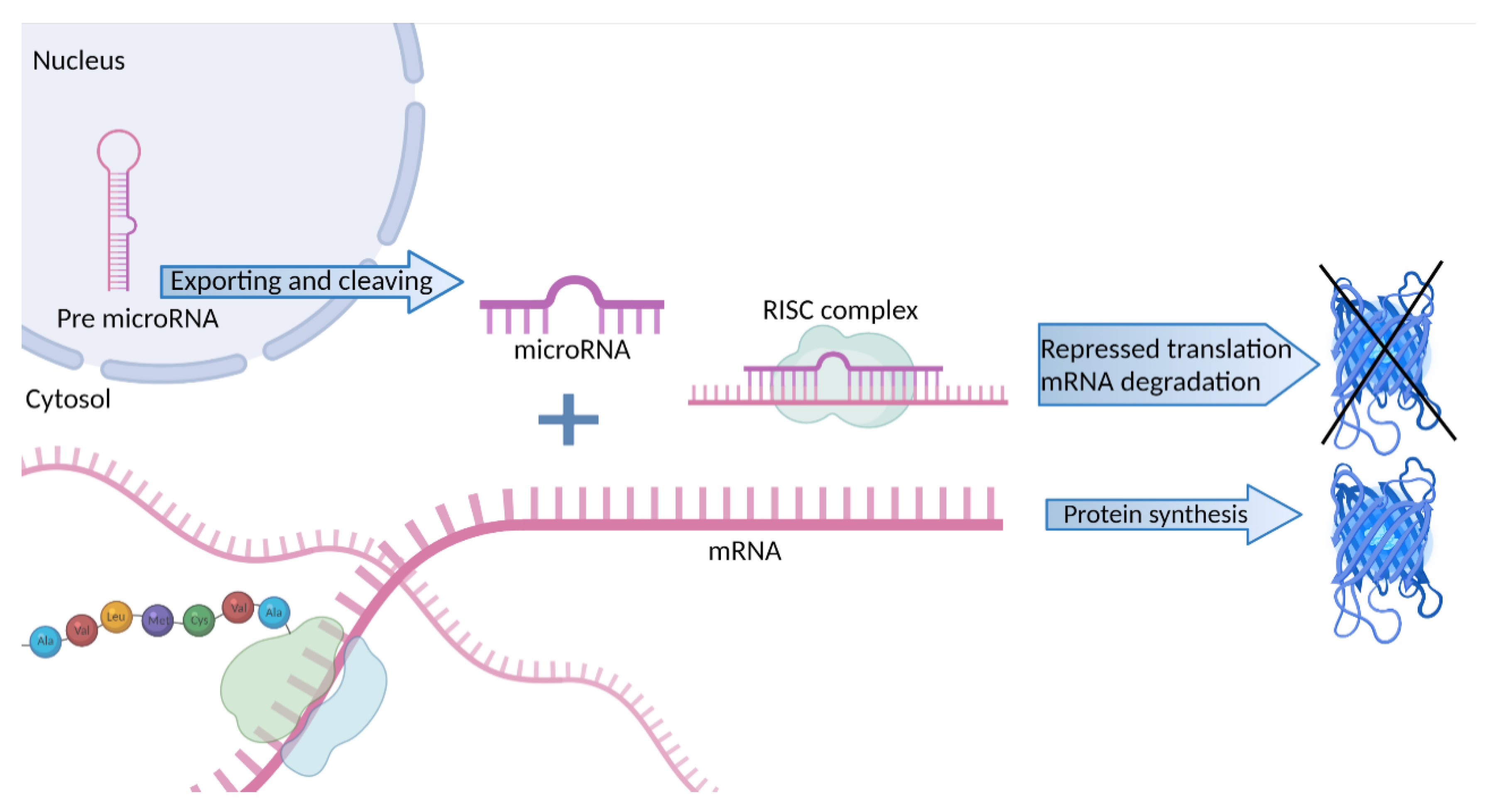 Epigenomic Modifications in Modern and Ancient Genomes